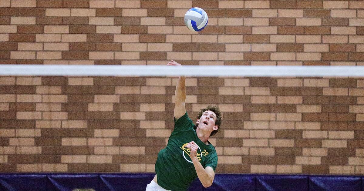 Bradford family: Giants in height and volleyball
