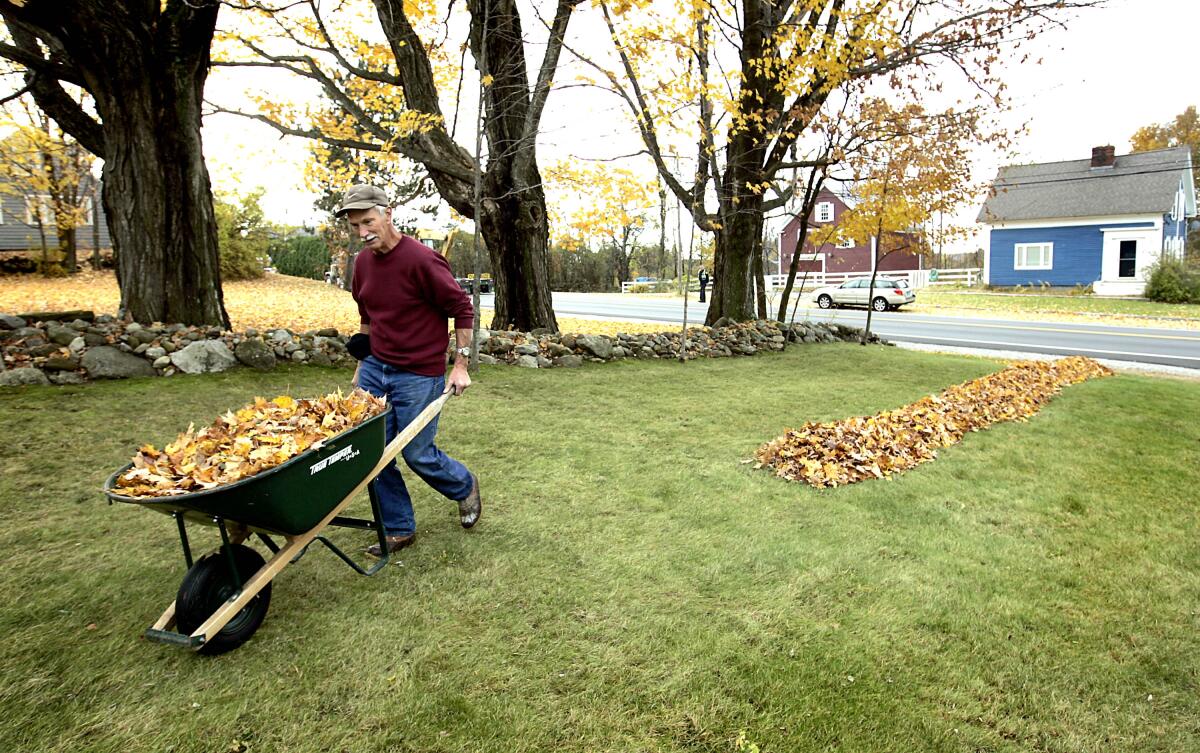 A man moves a wheelbarrow full of leaves