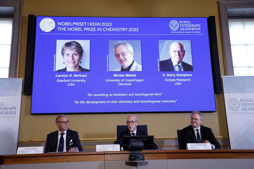 Swedish Academy of Sciences Secretary General Hans Ellegren, center, Jonas Aqvist, Chairman of the Nobel Committee for Chemistry, left, and Olof Ramstrom, member of the Nobel Committee for Chemistry, announce the winners of the 2022 during a press conference at the Swedish Academy of Sciences in Stockholm, Sweden, on Wednesday, October 5, 2022. Carolyn R. Bertozzi, Morten Meldal, and K. Barry Sharpless were recognized for their work on click chemistry and bioorthogonal reactions, which They are used to produce anticancer drugs, analyze DNA and create materials tailored for specific uses. (Christine Olsson/TT News Agency via AP)