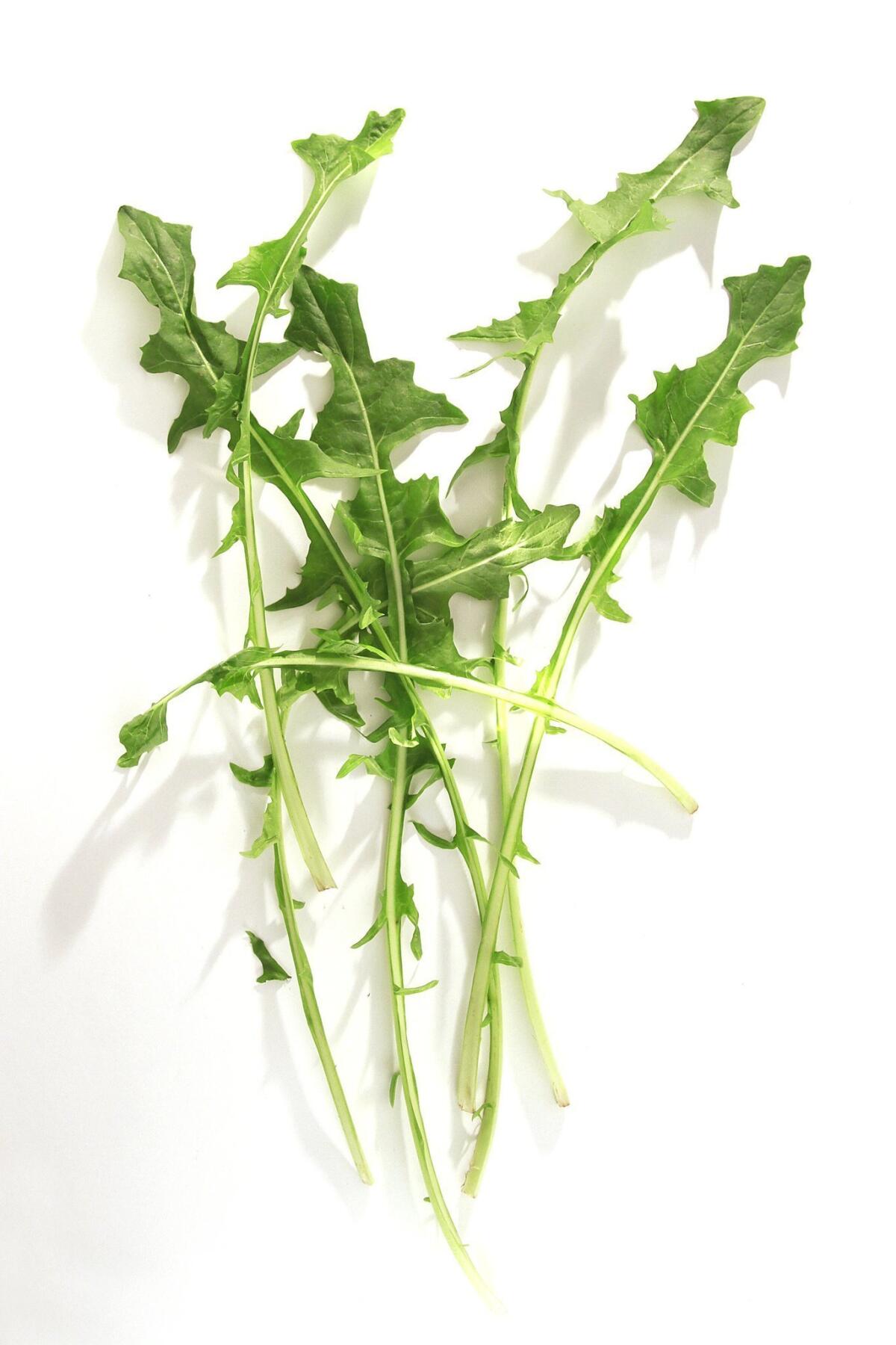 Fresh dandelion greens are a rich green-vegetable source of beta-carotene, and are high in calcium, iron and antioxidants.