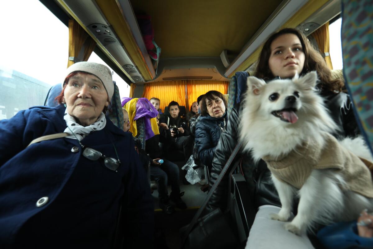 Women in warm coats, one holding a small fluffy dog,  sit in a bus. 