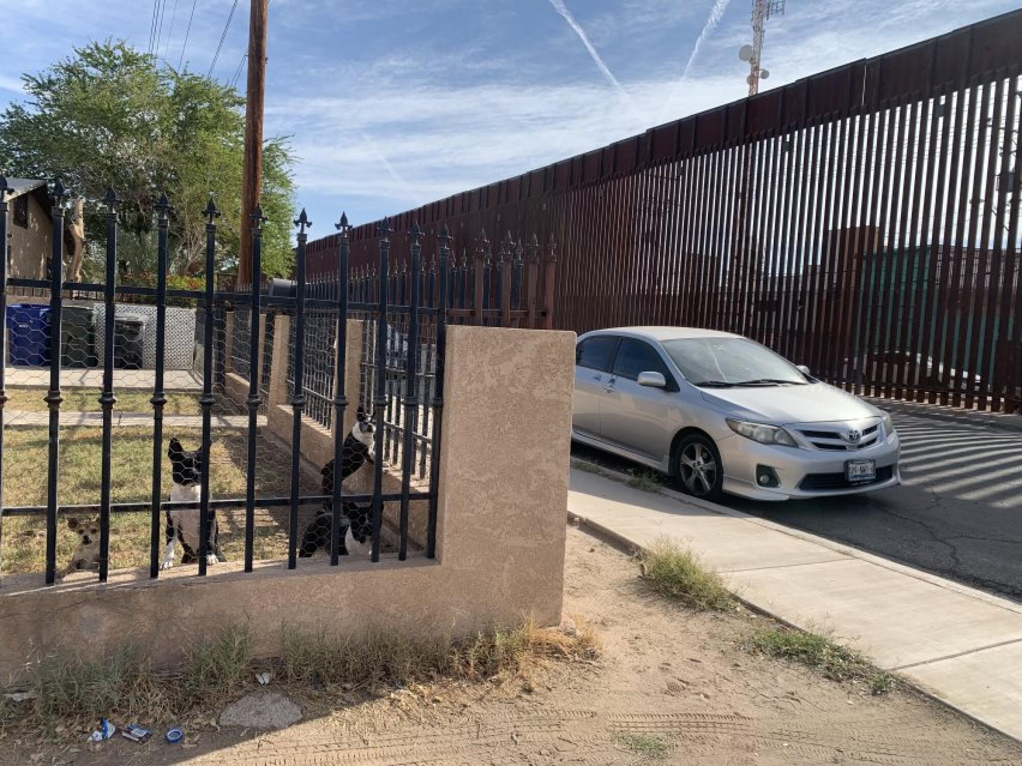 A home with dogs in the yard, at the base of a tall border fence