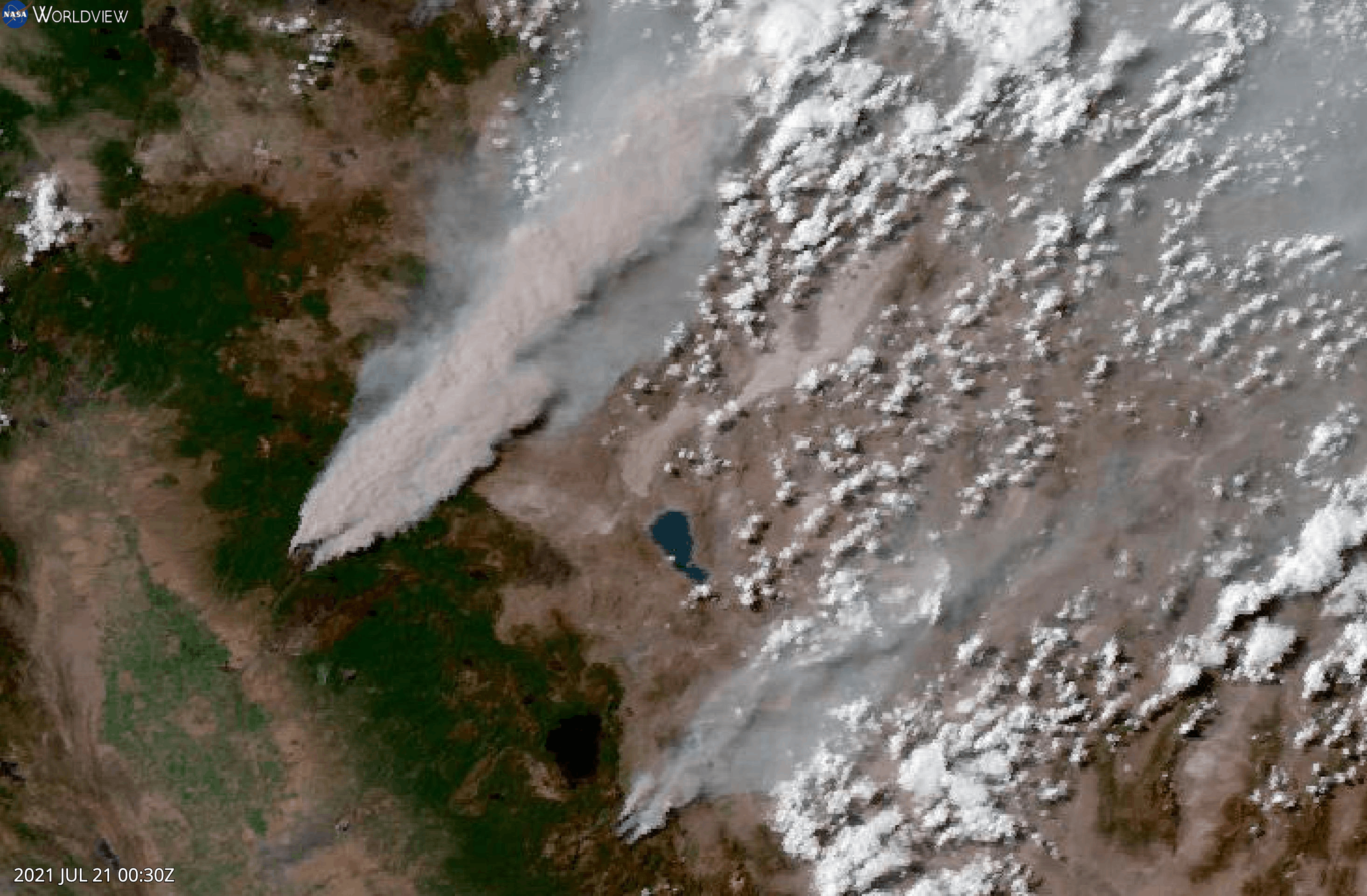 Satellite imagery shows smoke rising from wildfires. 