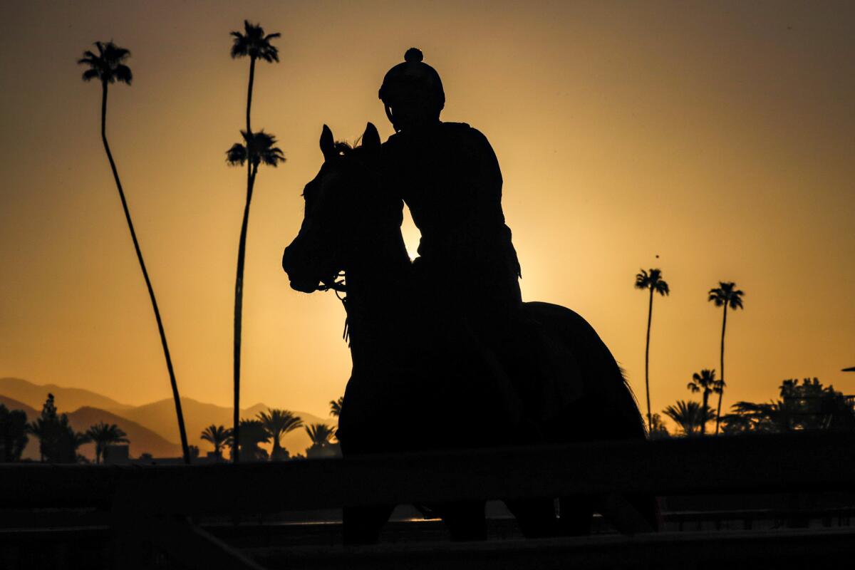 Horses go through early-morning training regimen as Santa Anita opening day resumes racing on March 29.
