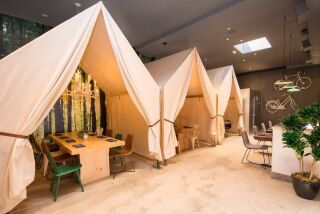 Tented tables, bicycles and a forest photo-mural create a campground theme at One Door North in North Park.