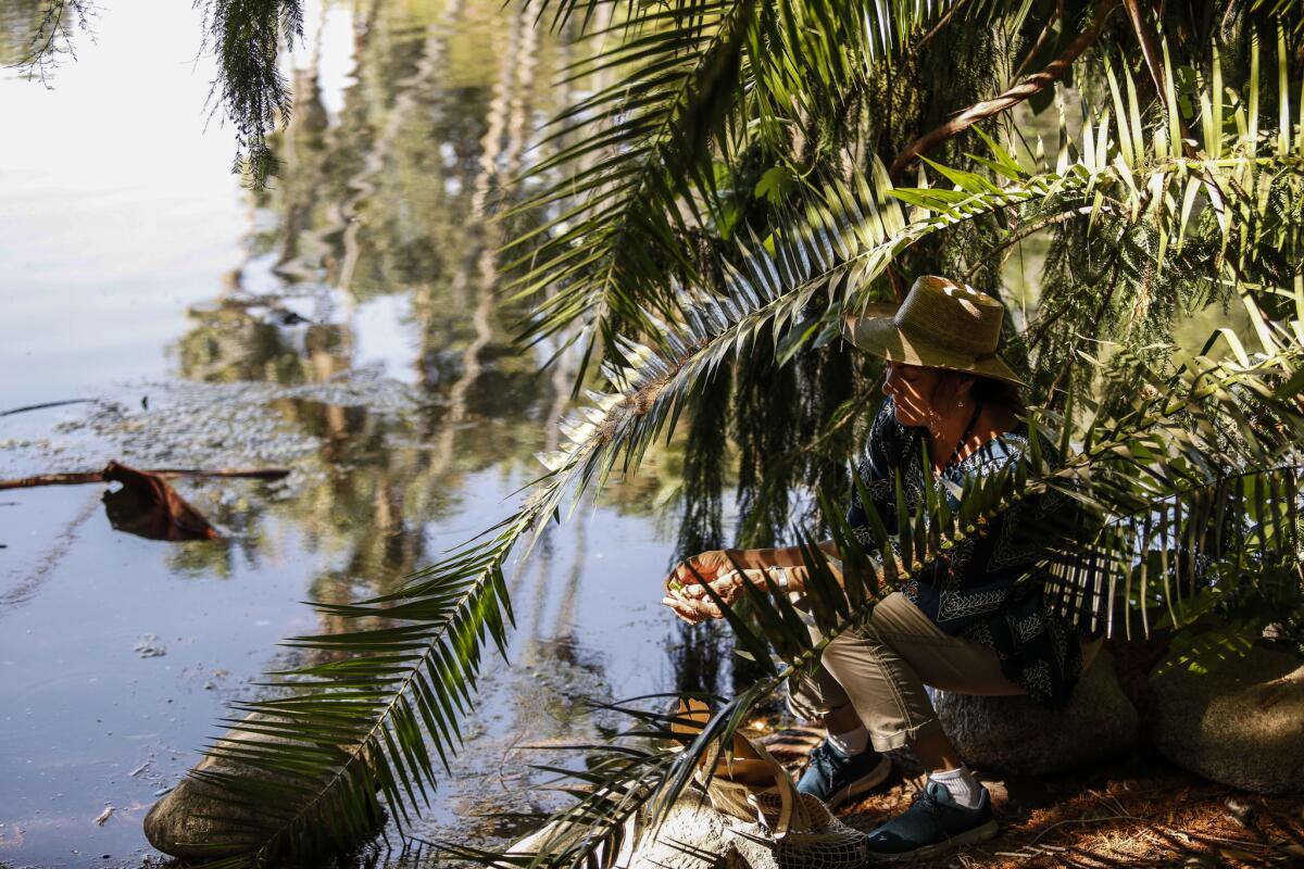 Kate Sullivan spends a quiet moment beside a lake in the Arboretum's prehistoric forest.