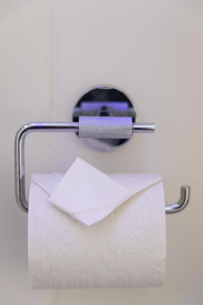 Photos: Motel California, the delight is in the details 72 Folded toilet paper at the Skyview Motel.