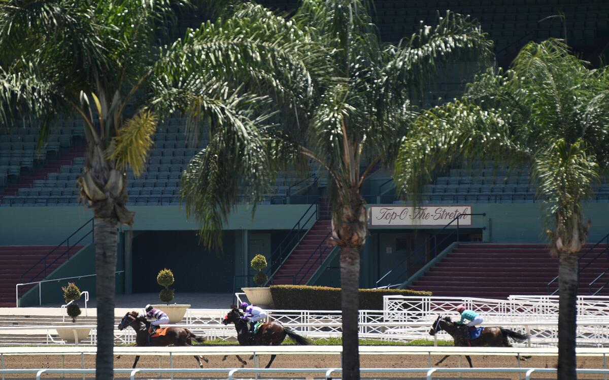 Horses race with empty stands in the background at Santa Anita Park.