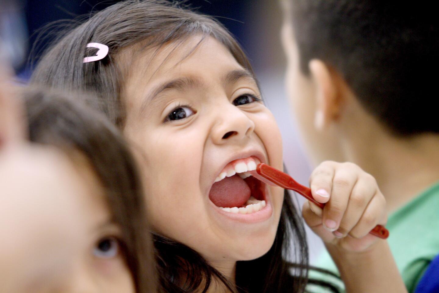 Providencia Elementary School first grader Amy Huaman practices brushing her teeth during a visit by the Kids Community Dental Clinic to her school, in Burbank on Wednesday, Feb. 17, 2016. The free clinic offered free dental check ups for 450 students, all provided by West L.A. College Dental Hygiene students and three volunteer dentists.