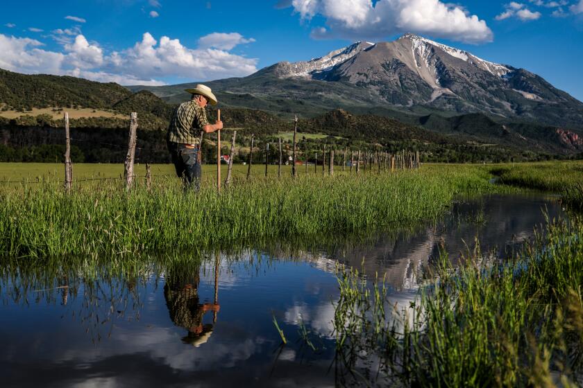 Carbondale, CO - June 03, 2026: Holding a shovel, rancher Bill Fales walks along a canal that irrigates one of his pastures, with Mt. Sopris reflected in the water on Wednesday, June 3, 2026. Decades ago, he remembers the mountain would typically be snowcovered in June, but the snow has dwindled in recent years. (Robert Gauthier/Los Angeles Times)