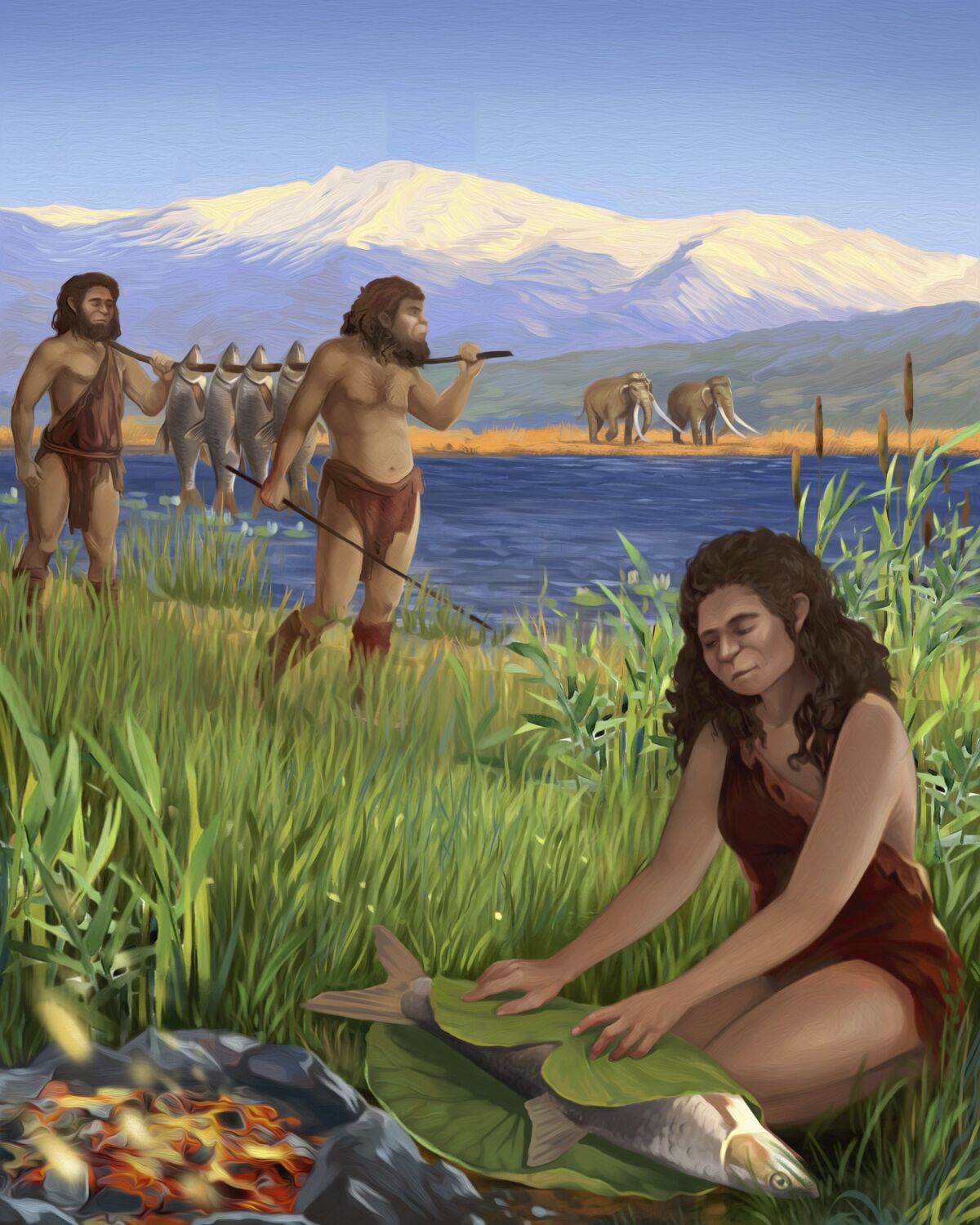 An illustration shows early humans preparing food.