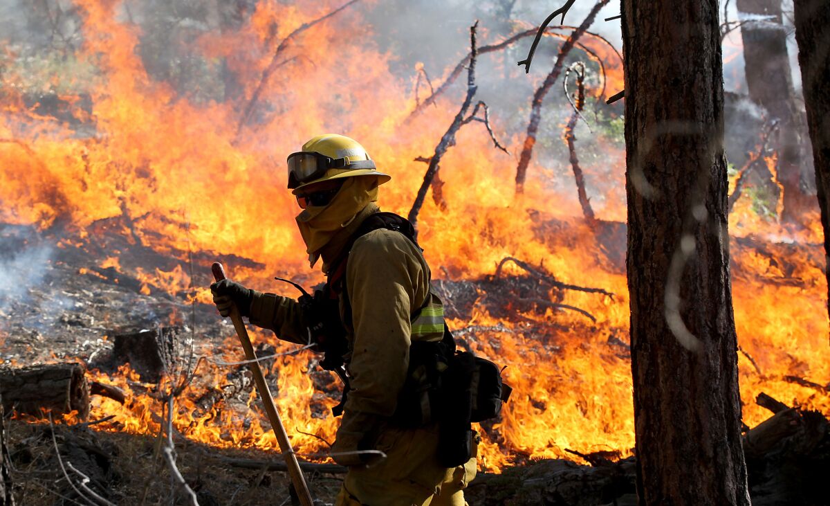 A firefighter watches an active portion of the Lake fire along Jenks Lake Road near Big Bear, where the fire has burned about 12 square miles in the San Bernardino National Forest.