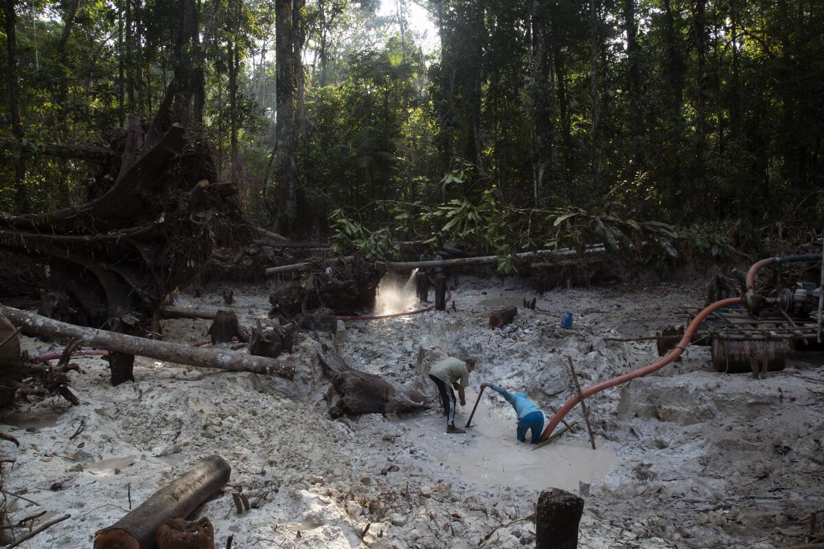 An illegal gold mine