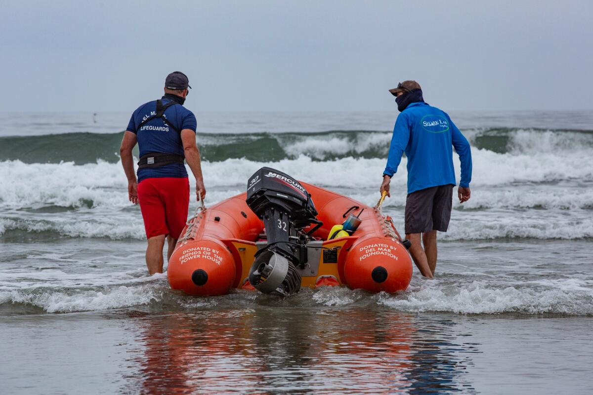 Shark Lab researchers