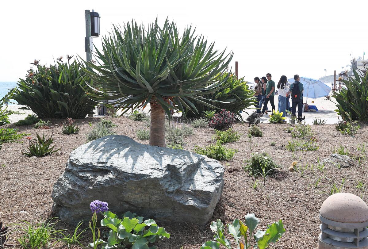 The city of Laguna Beach recently completed improvements at Main Beach Park just in time for summer.