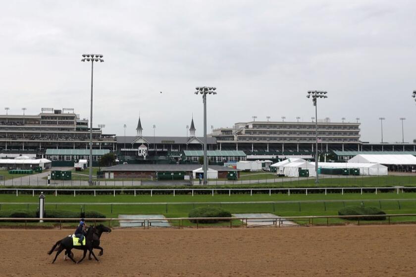 LOUISVILLE, KY - MAY 04: Sonneteer trains on the track for the Kentucky Derby at Churchill Downs on May 4, 2017 in Louisville, Kentucky. (Photo by Rob Carr/Getty Images) ** OUTS - ELSENT, FPG, CM - OUTS * NM, PH, VA if sourced by CT, LA or MoD **