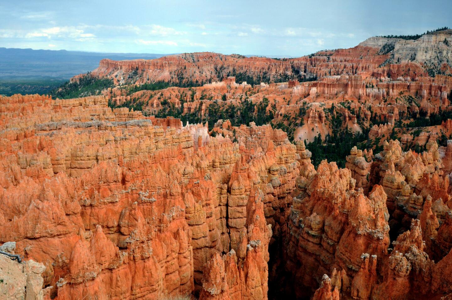 View of the Bryce Canyon National Park, Utah. Bryce Canyon is a small national park in southwestern Utah and is famous for its worldly unique geology, consisting of a series of horseshoe-shaped amphitheaters carved from the eastern edge of the Paunsaugunt Plateau in southern Utah.