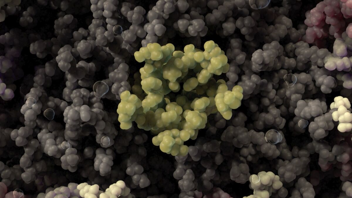 A 3-D model of the novel coronavirus' viral envelope.