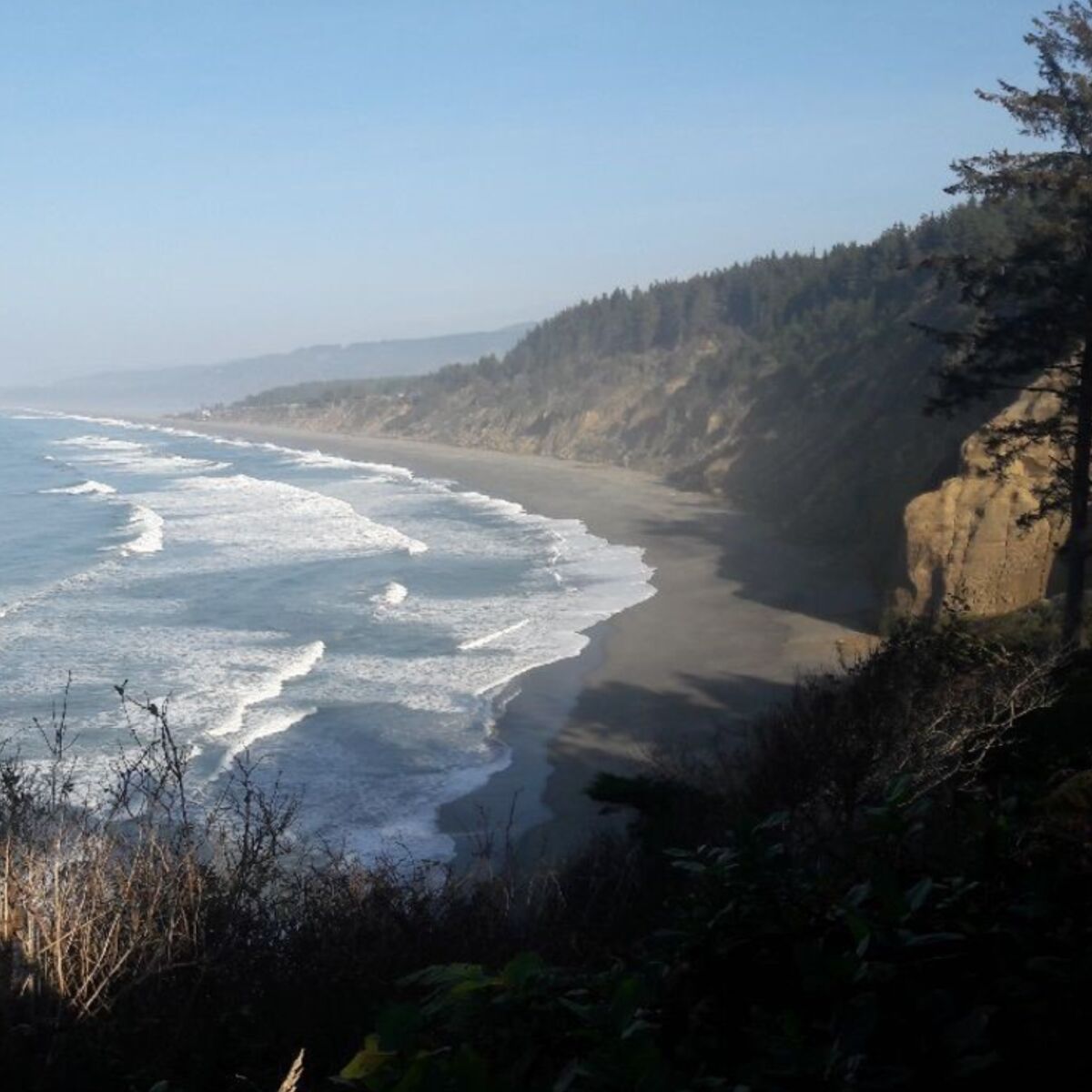 Rugged California coast line and beach. 