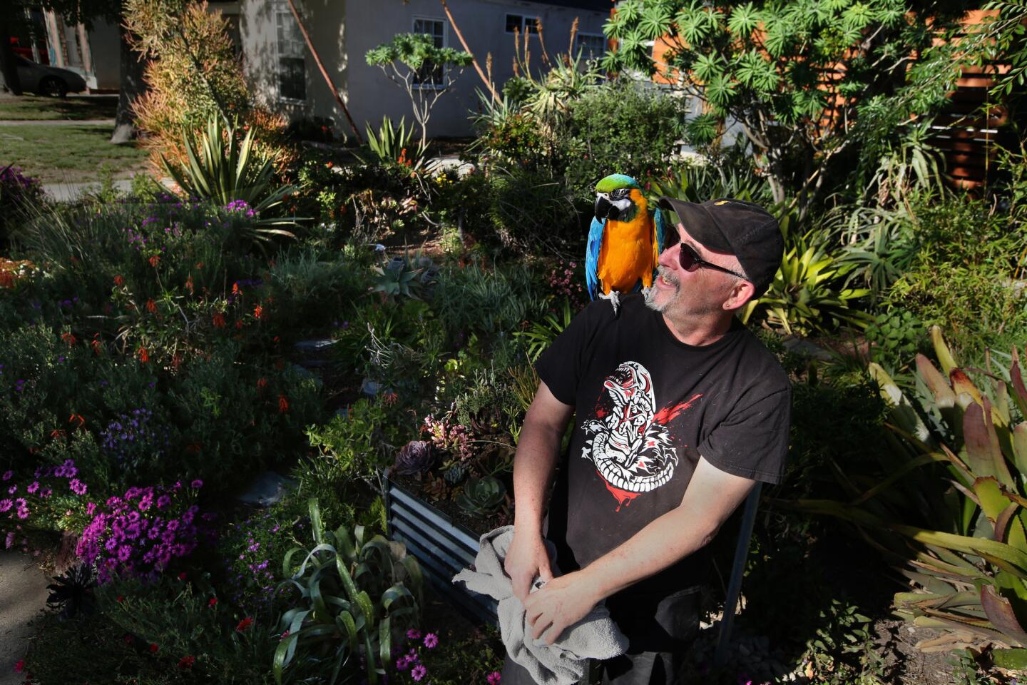 This Burbank drought garden is anything but dull