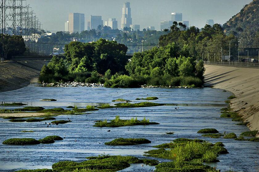 A bike trail near Griffith Park gives a view of the Los Angeles River as it flows toward downtown L.A. on July 22, 2013.