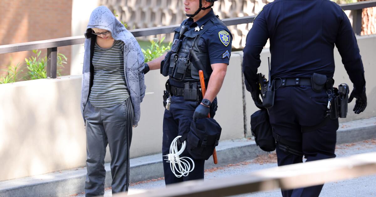 Over 100 people were arrested at UCLA and UC San Diego during Gaza war protests