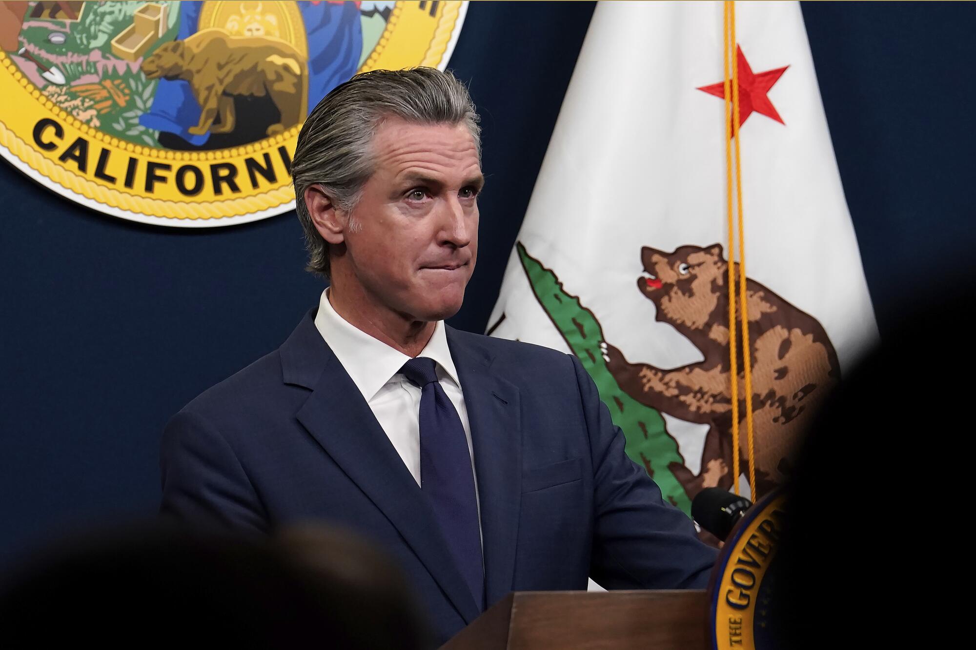 Calif. Gov. Gavin Newsom stands in front of a seal and the state flag