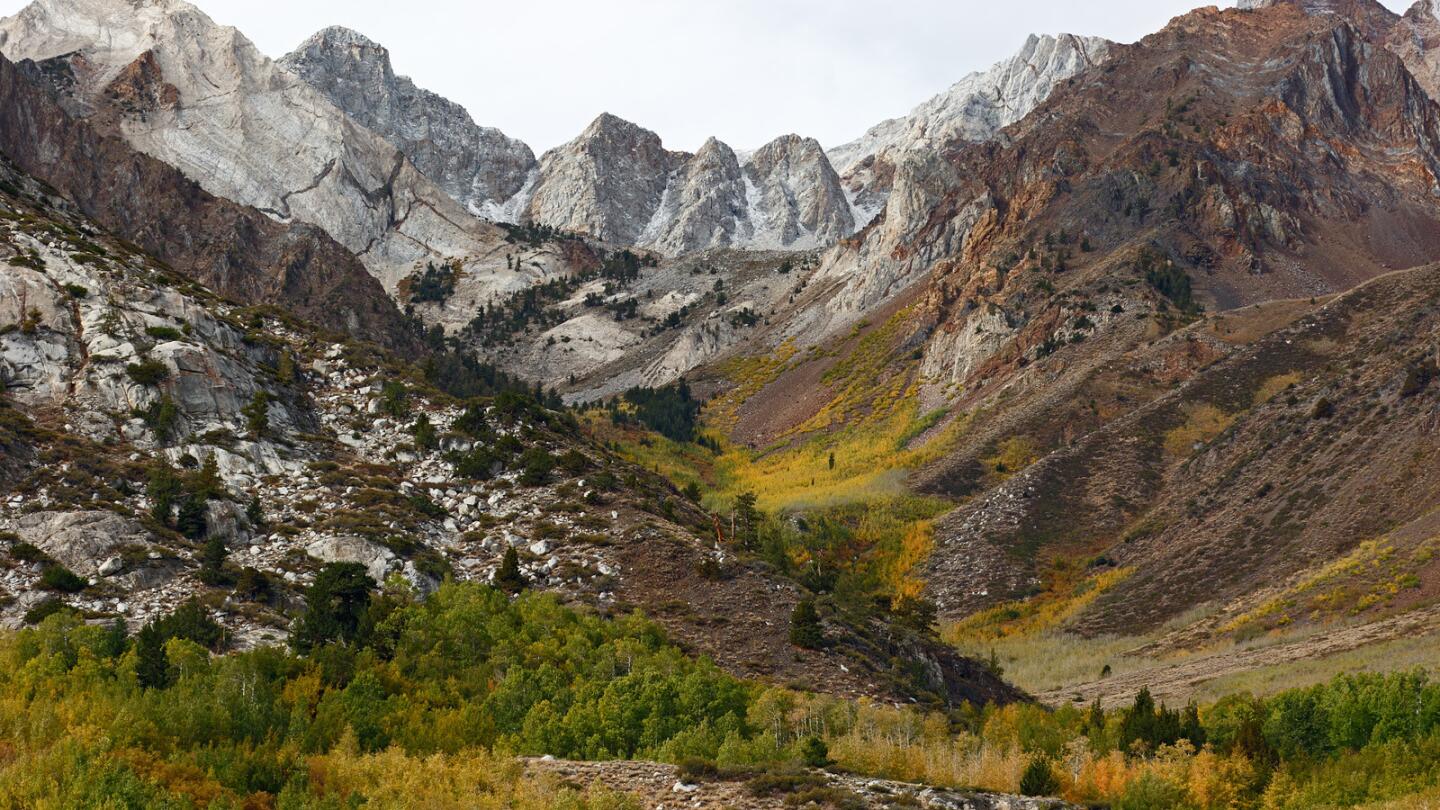 What a difference a few weeks makes. McGee Creek Canyon south of Mammoth Lakes, Calif., was showing scant color the last weekend in September.