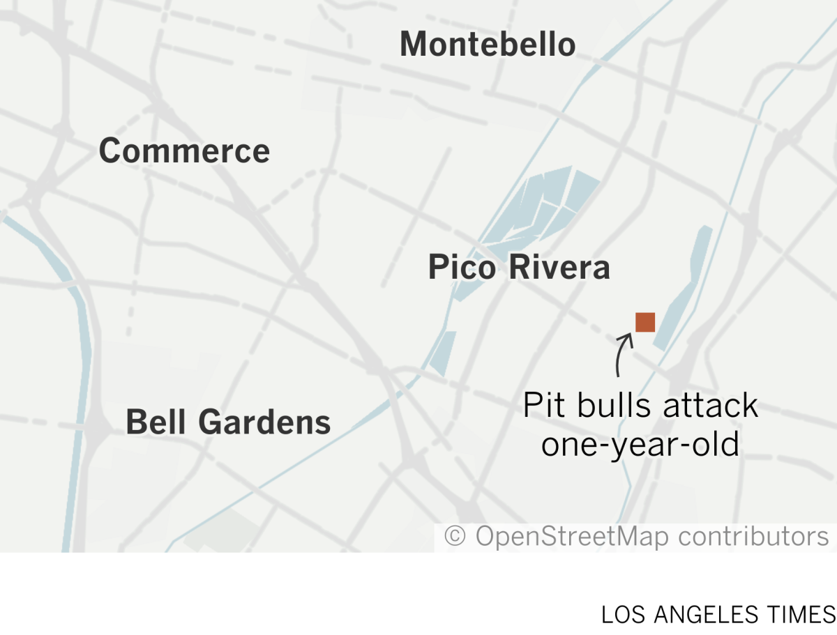 Map where two pit bulls attacked a child in Pico Rivera
