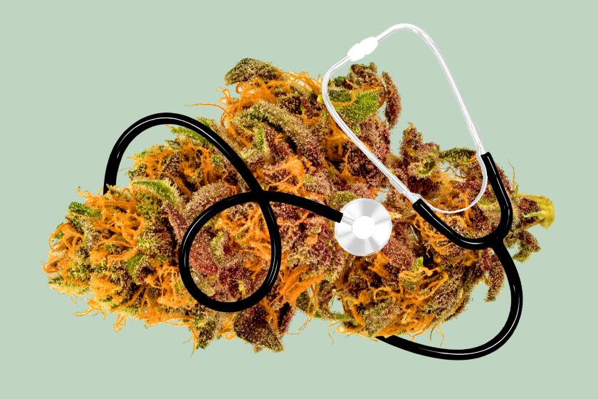 Photo illustration of cannabis with a stethoscope looped around it.