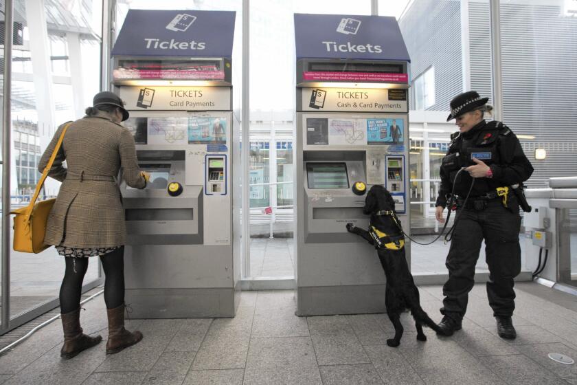 An officer with the British Transport Police patrols with a sniffer dog in London on Nov. 27 as part of Counter-terrorism Awareness Week.