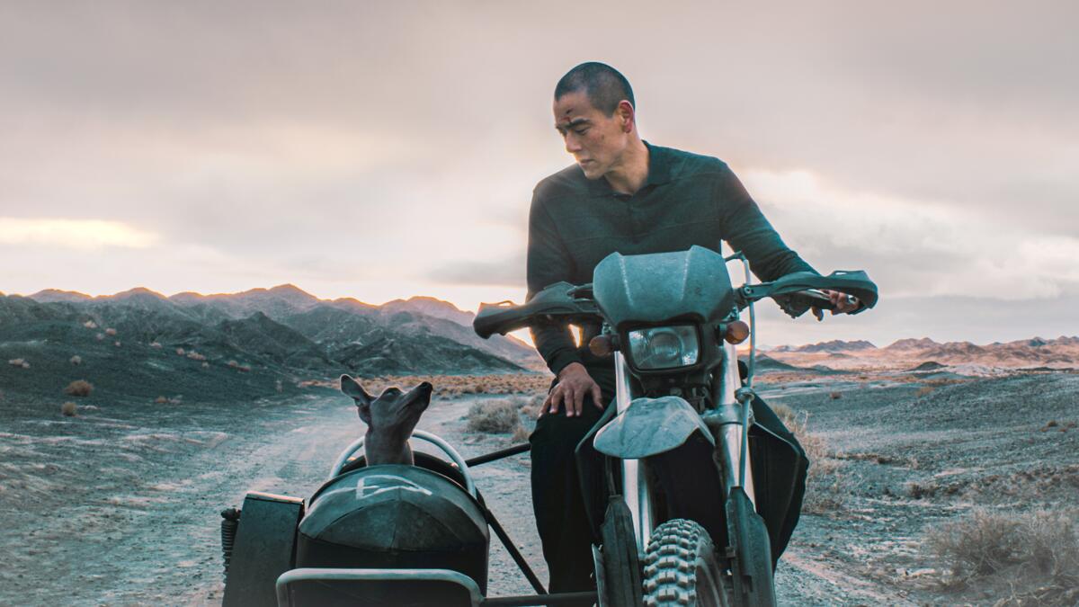 A man drives a motorcycle with his dog in the sidecar.