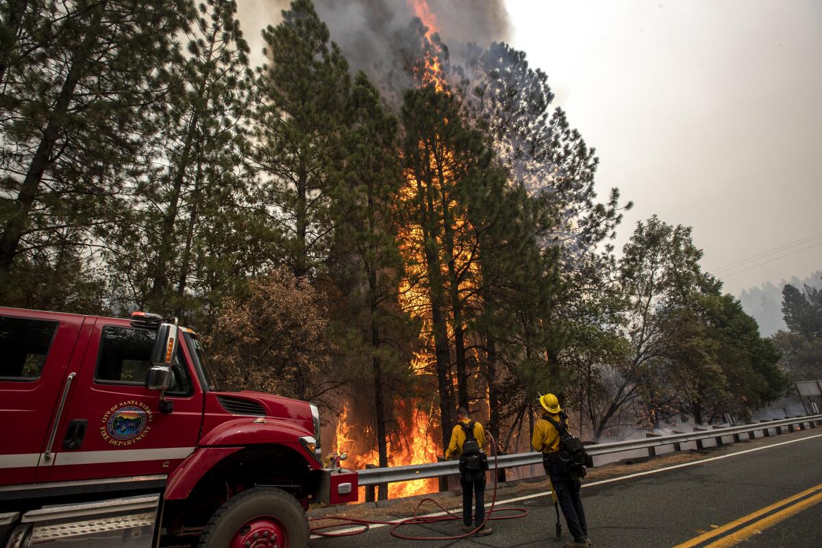 Flames tower as high as 30-foot trees on the side of the road as firefighters standing next to a truck look on