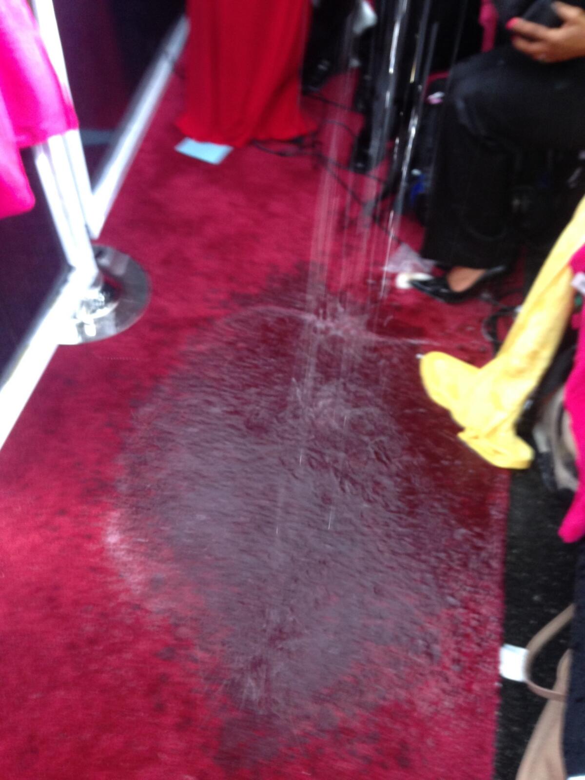 Oscars 2015 red carpet.