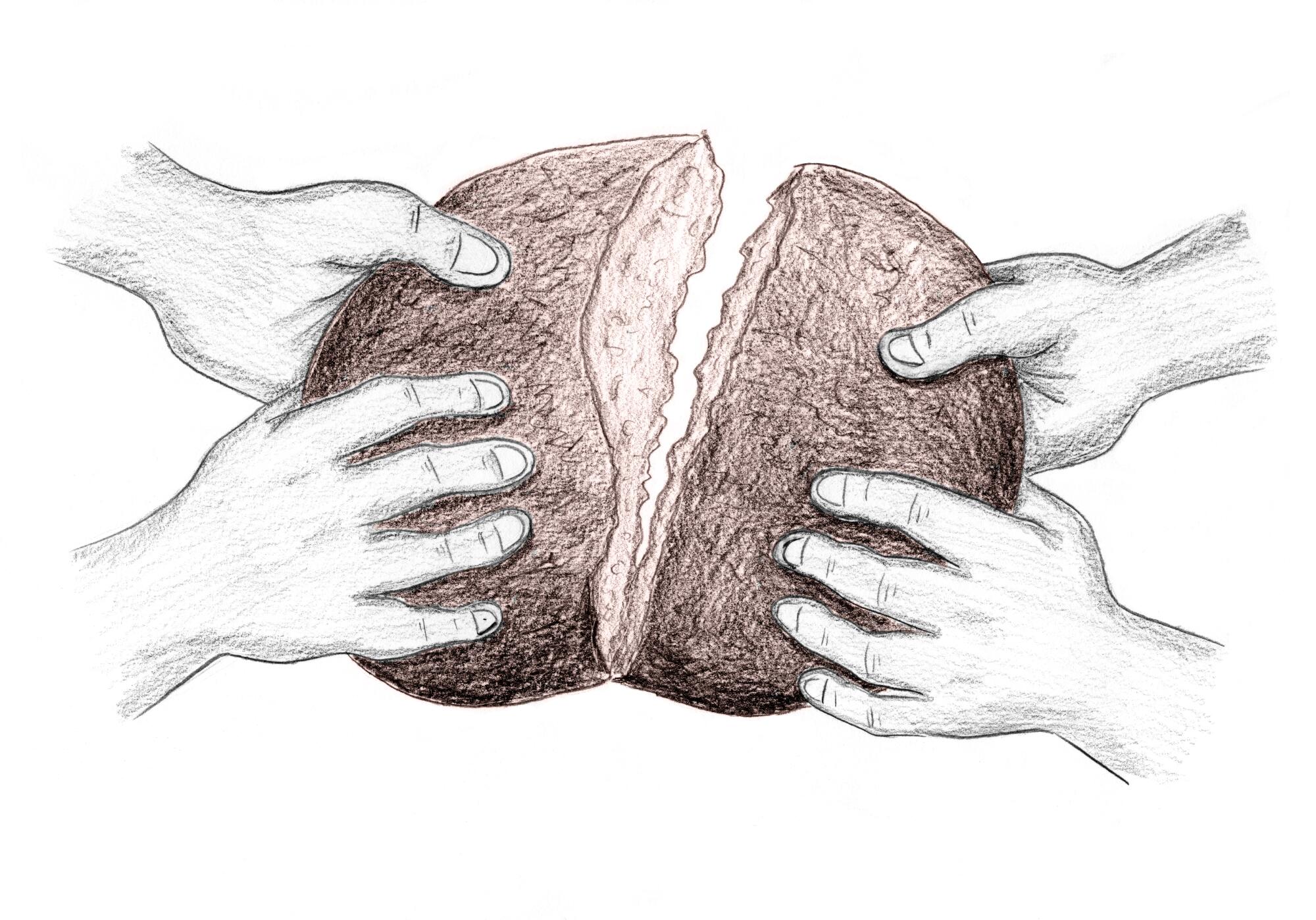 Drawing of hands breaking bread