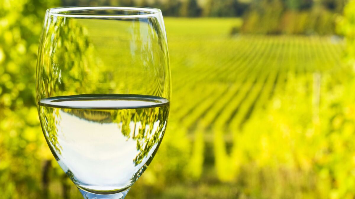 Dry white wines are great for hot days.