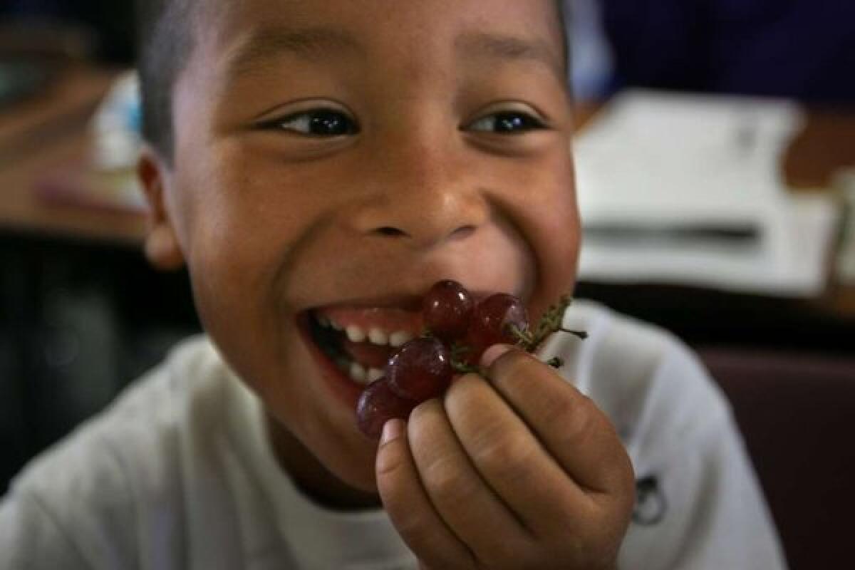 Fresh fruit is the No. 1 snack in America, and it's particularly popular among children, according to a recent report.