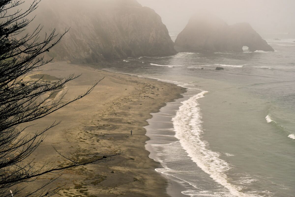 A rugged, rocky beach shrouded in fog.