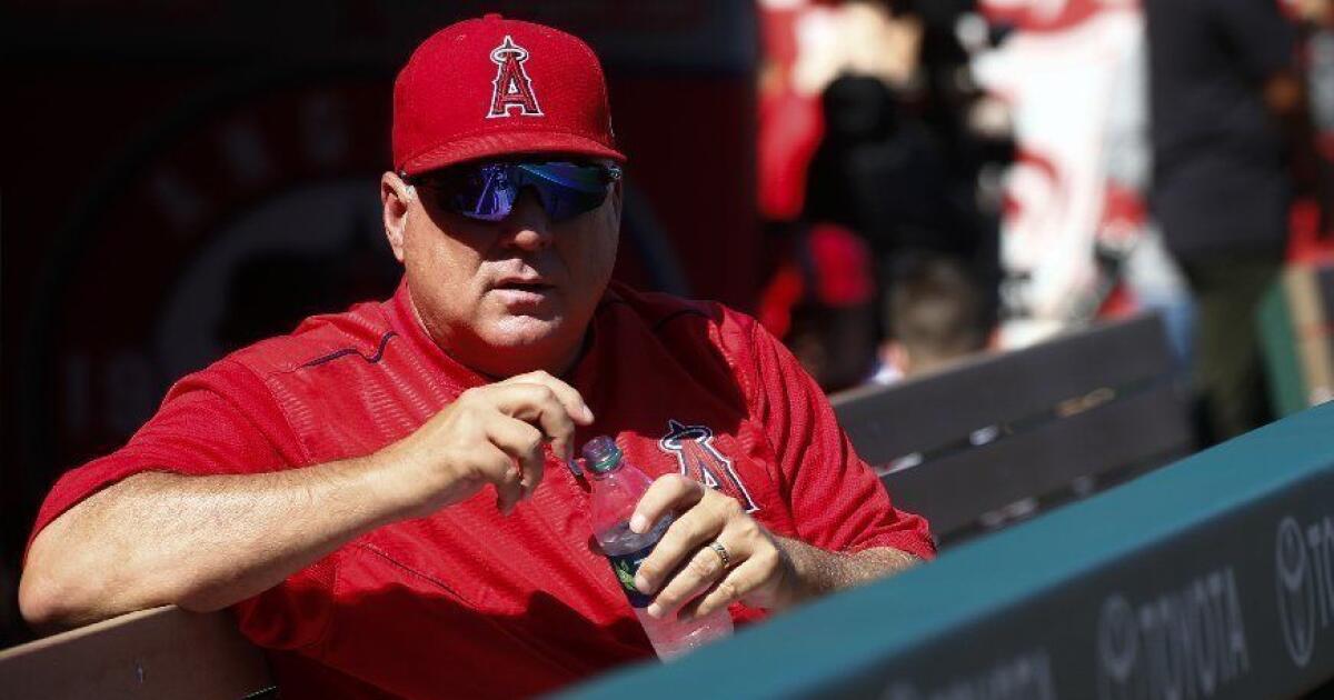 Mike Scioscia steps down as Angels manager after 19 years - Washington Times