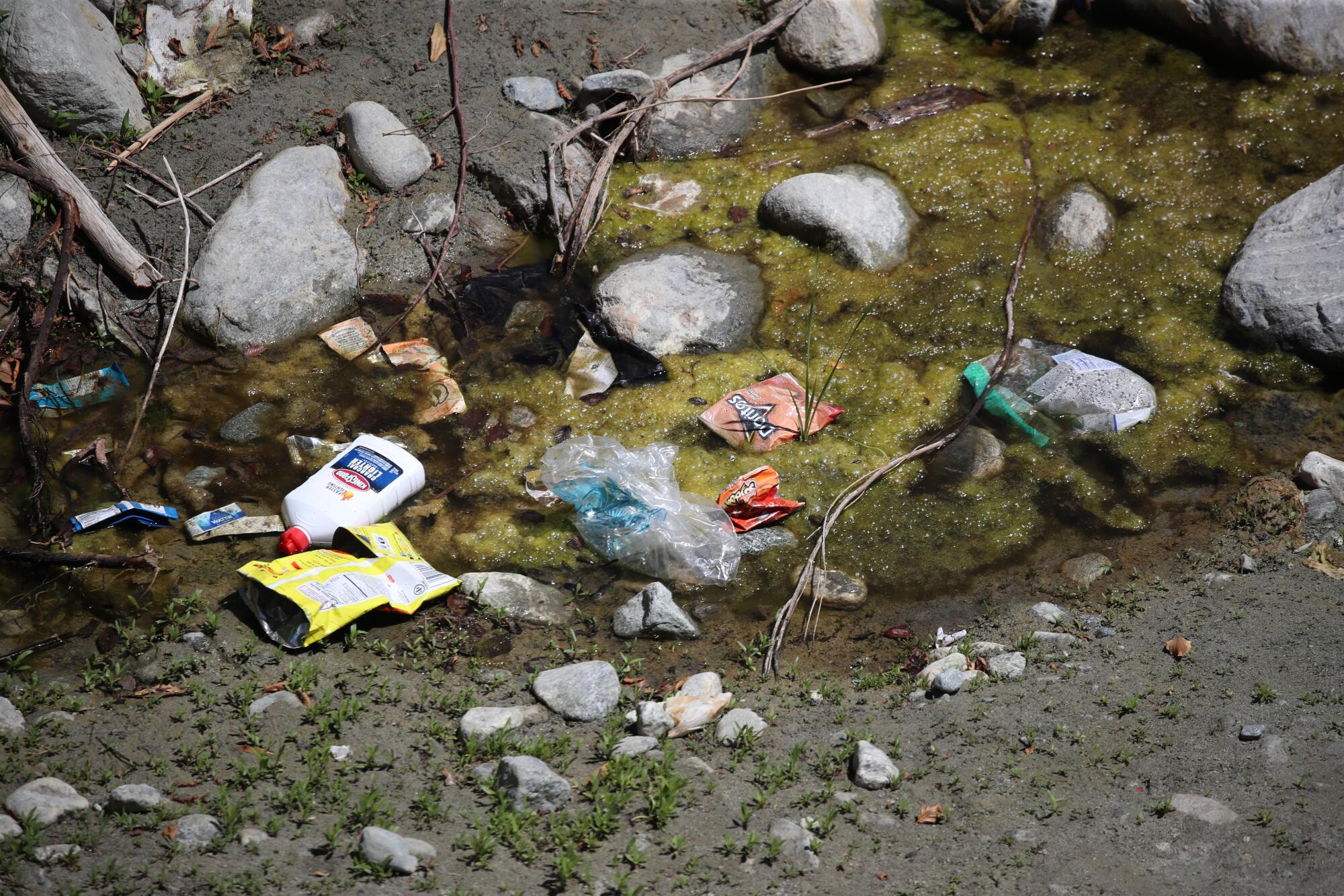 Trash litters a mossy patch of rocks.