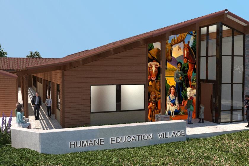 Rendering of the entrance to Helen Woodward Animal Center's new Humane Education Village.