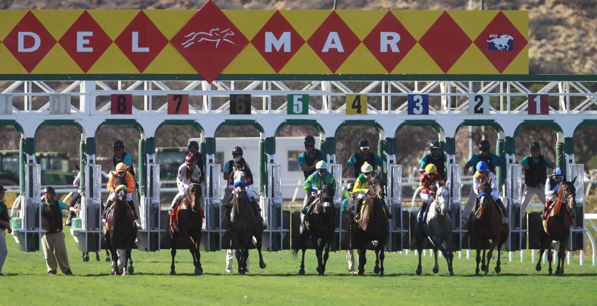 Horses come out of the gates at the start of the third race on opening day of the 2018 fall meet at the Del Mar racetrack in Del Mar on Friday.
