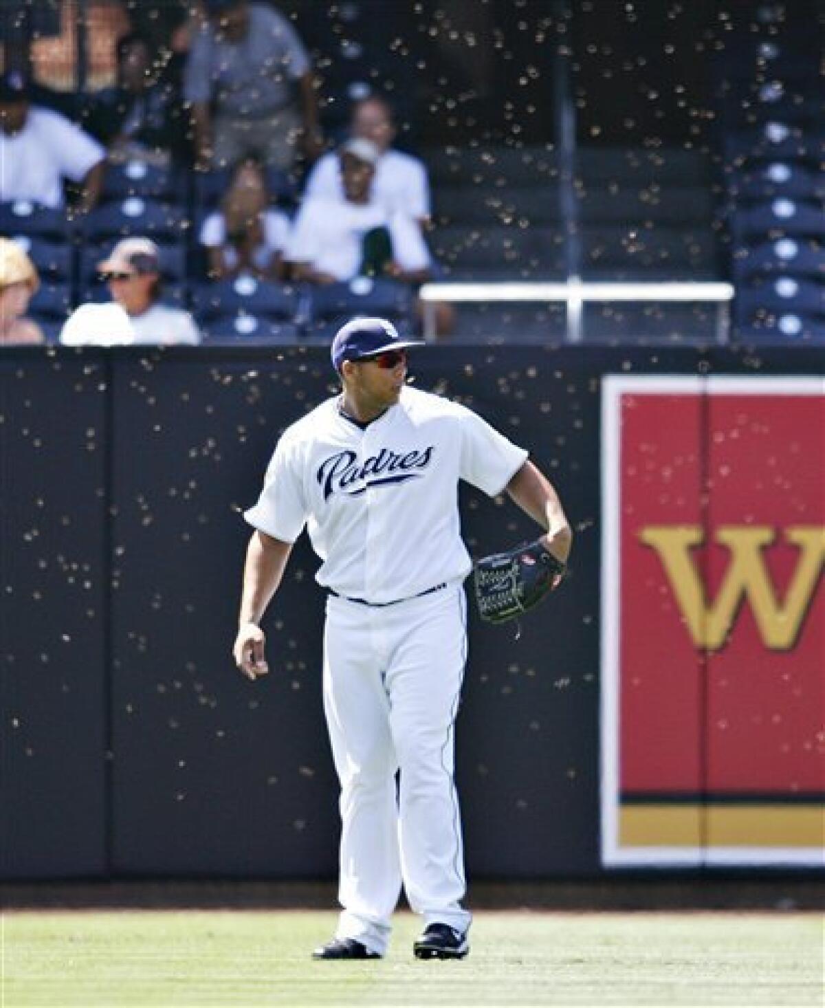 Un-bee-lievable: Bee swarm delays Astros' 7-2 win - The San Diego  Union-Tribune