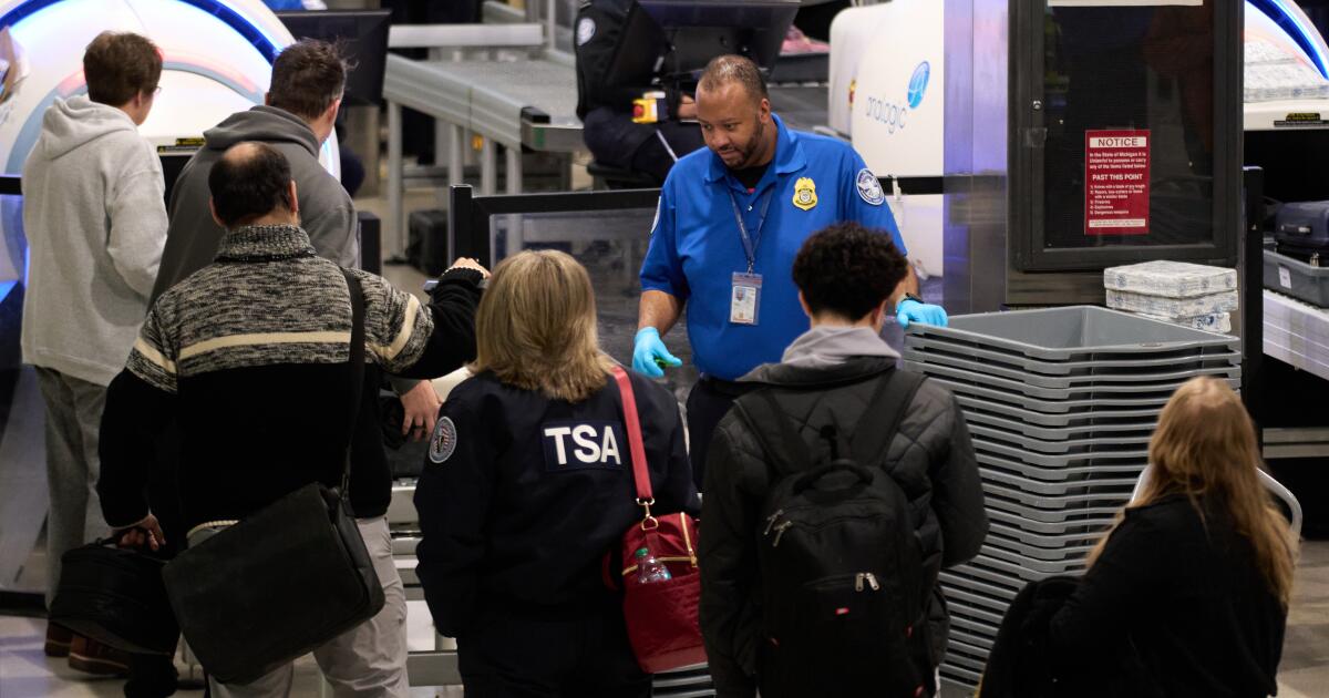 Agentes da TSA estão trabalhando sem remuneração por causa de outra paralisação