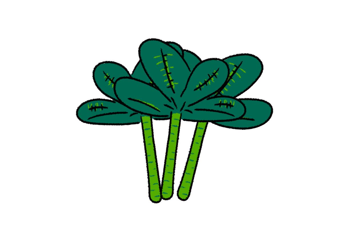 An illustration of tree collard greens