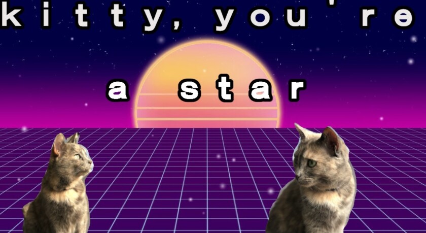"Kitty, You're a Star"