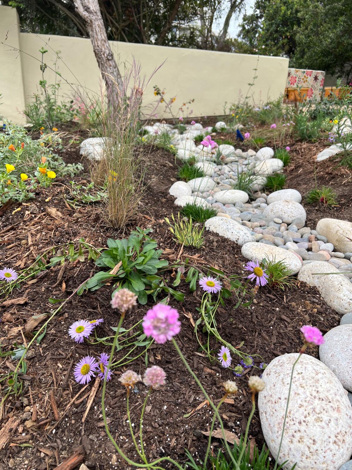 The Estancia butterfly garden is full of native plants and those that will attract pollinators.