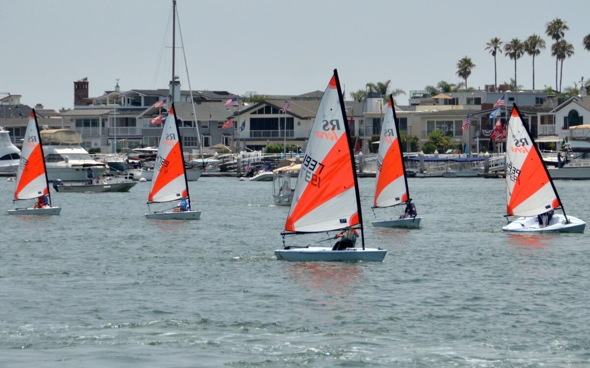 The Terra Fleet of the smallest sailboat races competes in Flight of Newport Sunday, July 14.