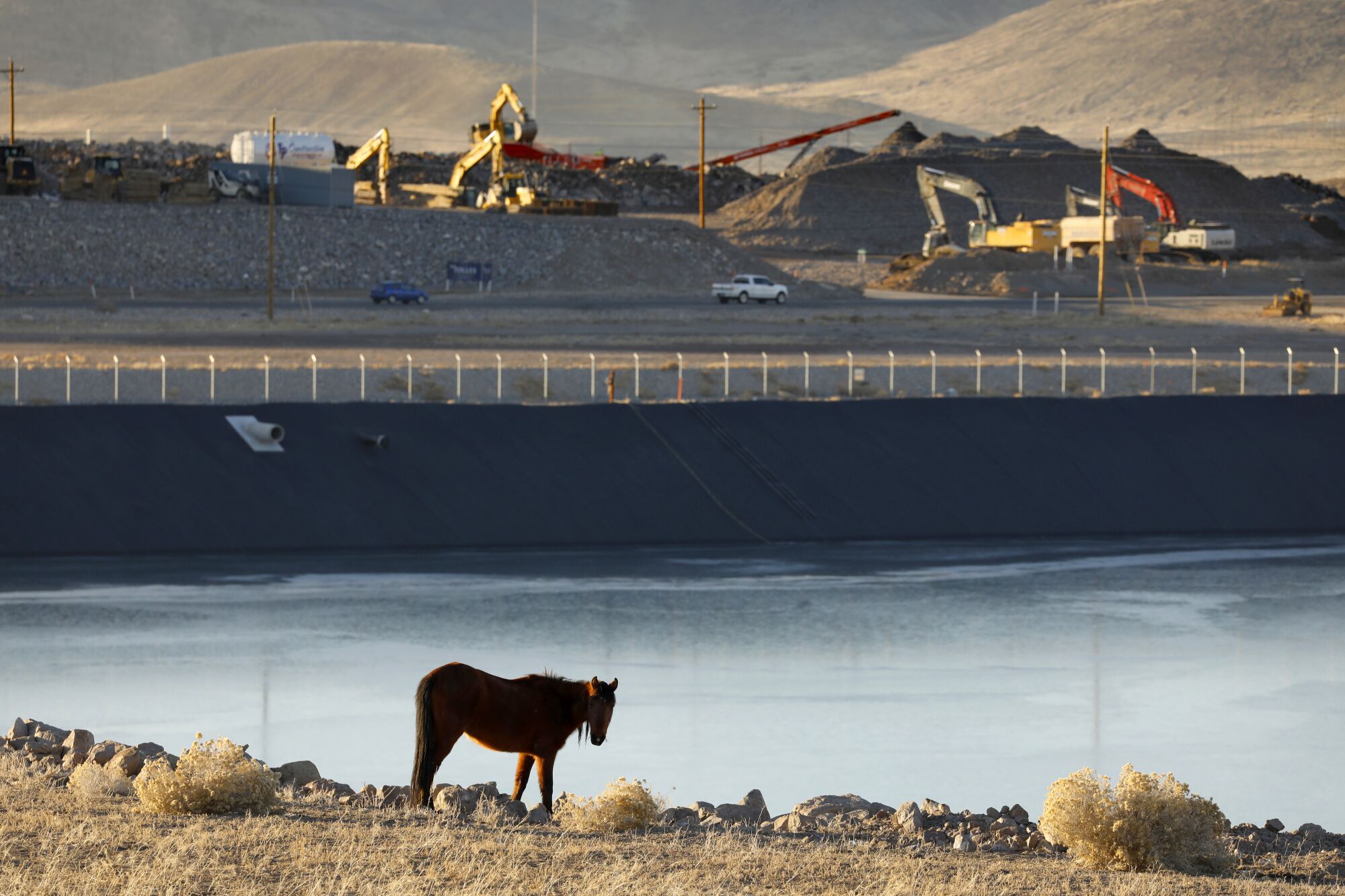A horse in the foreground looks toward the camera while standing near a reservoir. A construction site is in the background.