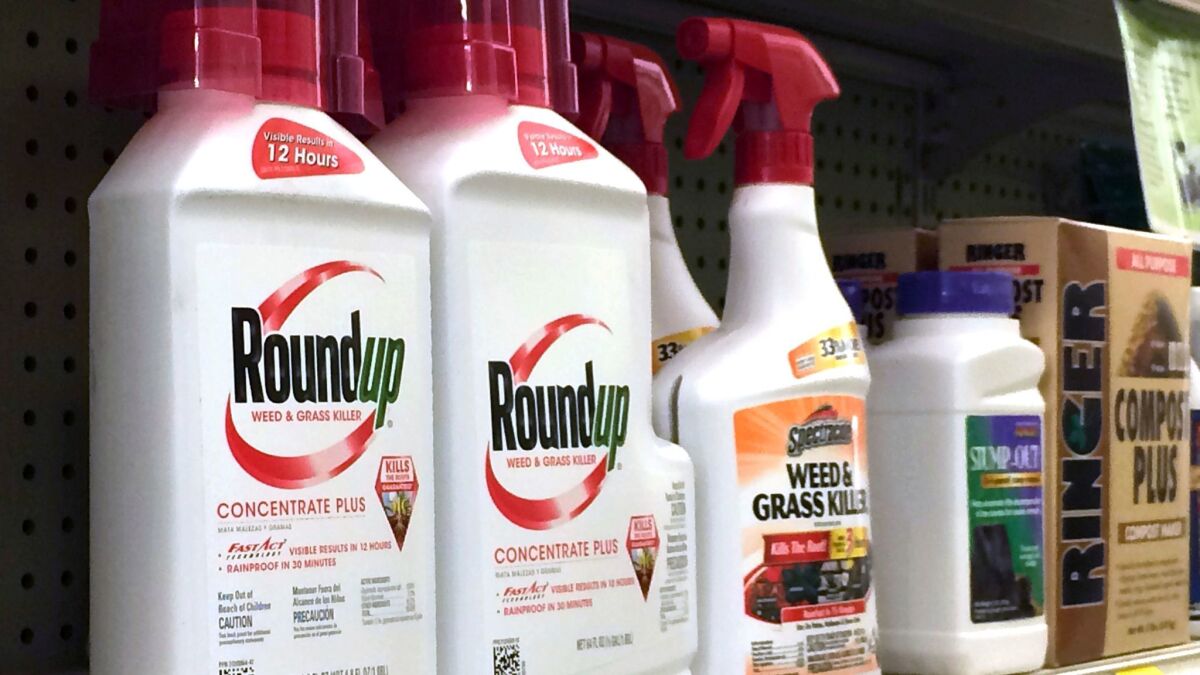 Containers of the weed killer Roundup on a hardware store shelf.